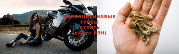 мяу мяу мука Армянск