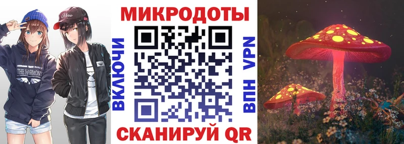 MEGA ONION  Астрахань  Галлюциногенные грибы Psilocybine cubensis 